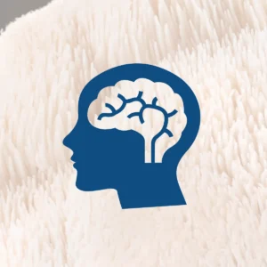 icon with head and brain